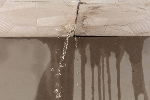 Professional Structural Drying technician working in Williamston, MI